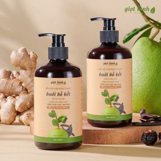   2 chai  Dầu gội bưởi - bồ kết dầu gội thảo dược thuần chay hỗ trợ kích mọc tóc Giọt Lành 500ml 
