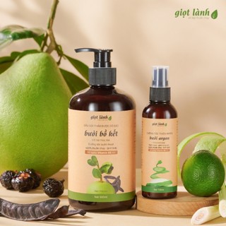 Bộ dầu gội bưởi bồ kết - Xịt tóc tinh dầu bưởi, hỗ trợ kích mọc tóc, giảm gãy rụng Giọt Lành