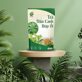 Trà thìa canh búp ổi giúp ổn định đường huyết Thanh Mộc