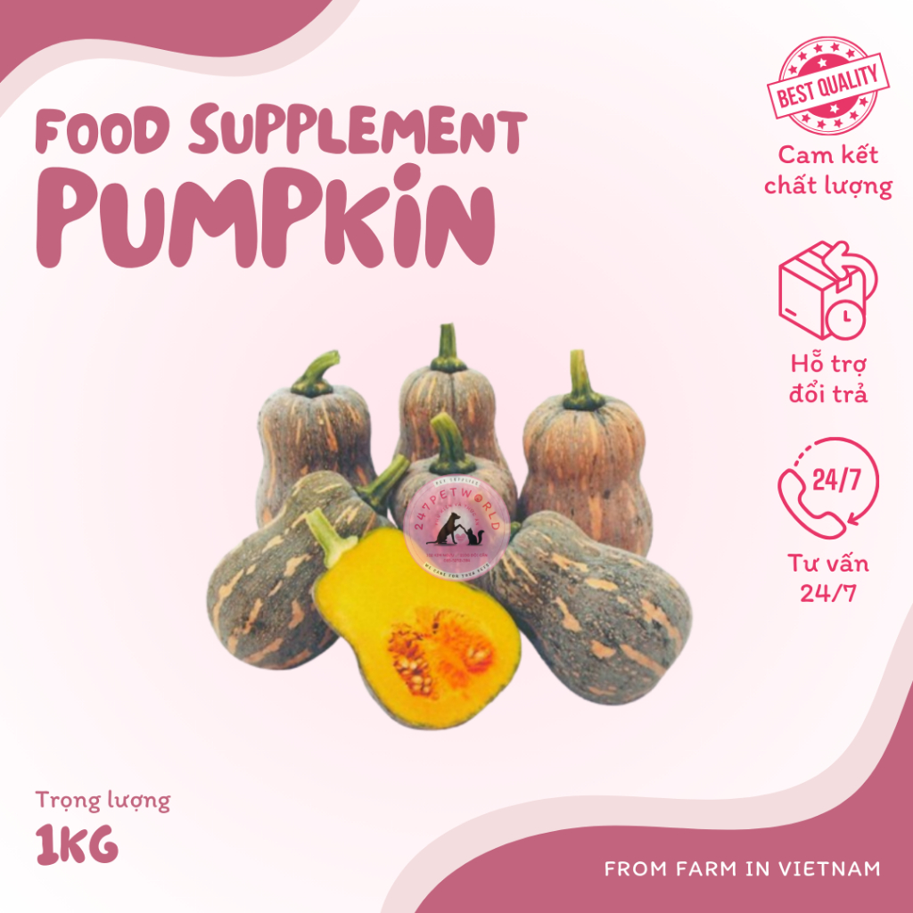 [HOẢ TỐ] 1kg Bí Đỏ-247PetWorld