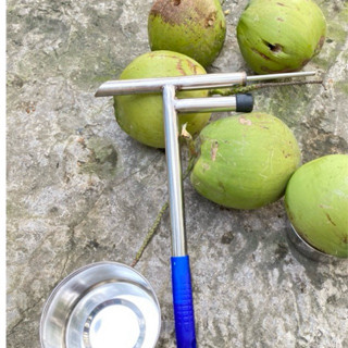  Búa Đục Dừa  Mẫu Mới   nặng 500g 