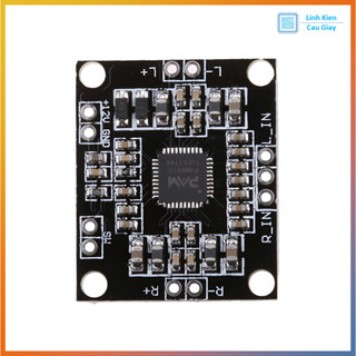 Module Khuếch đại âm thanh PAM8610