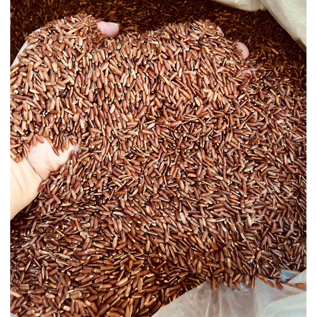 ( Sỉ - Hỏa Tốc )10 KG Gạo Lứt Huyết Rồng Cho Người Ăn Kiêng Tiểu Đường ( đóng bao 10kg )