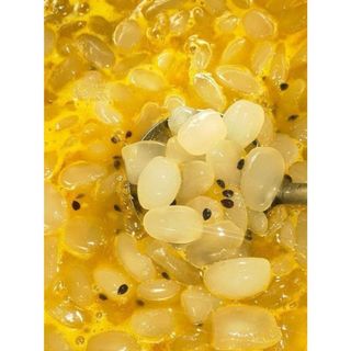HẠT ĐÁC RIM CHANH DÂY - Hủ 1kg thơm ngon