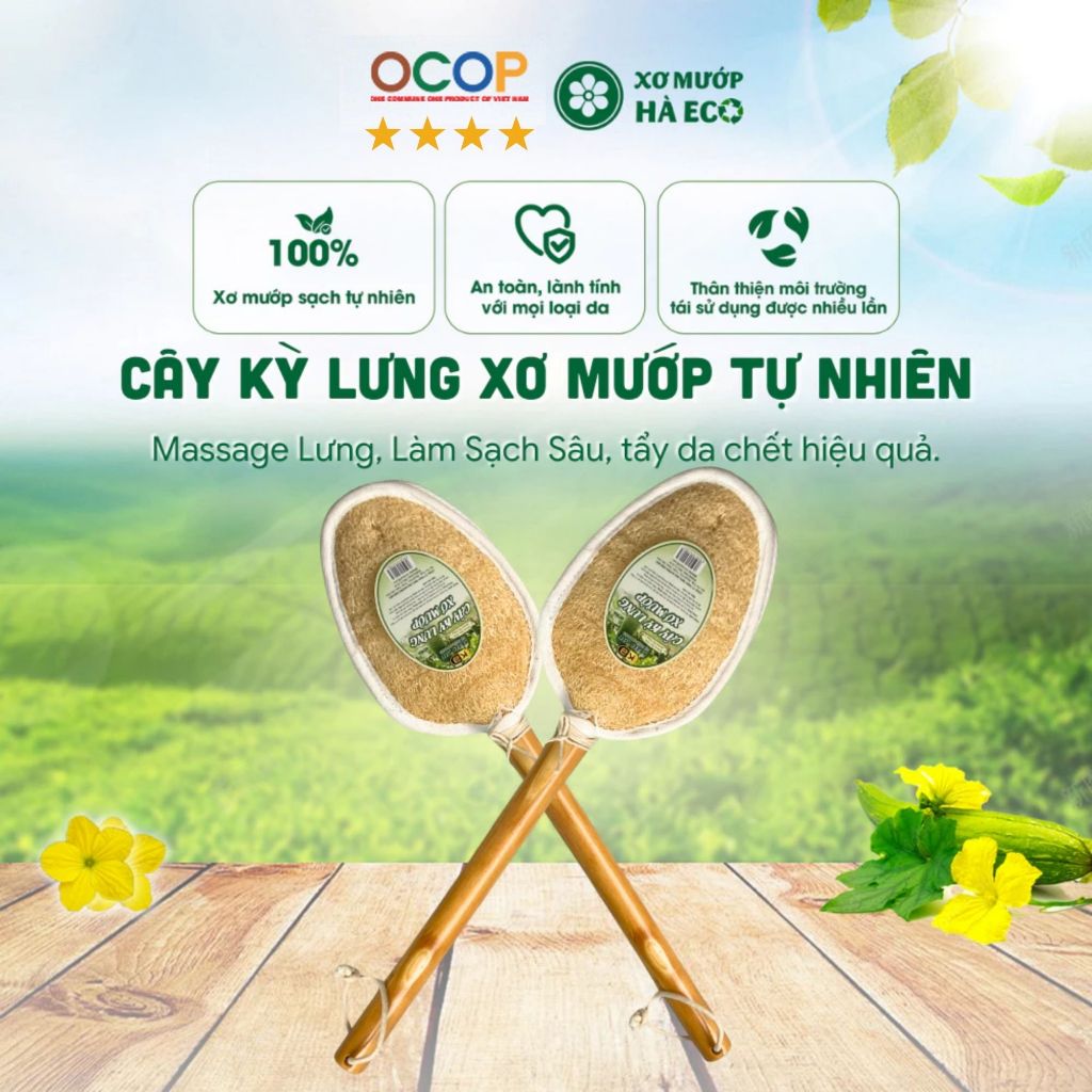  Cây Chà Lưng Xơ Mướp Tự Nhiên HÀ ECO Massage Body Làm Sạch Sâu Tẩy Da Chết Hiệu Quả 