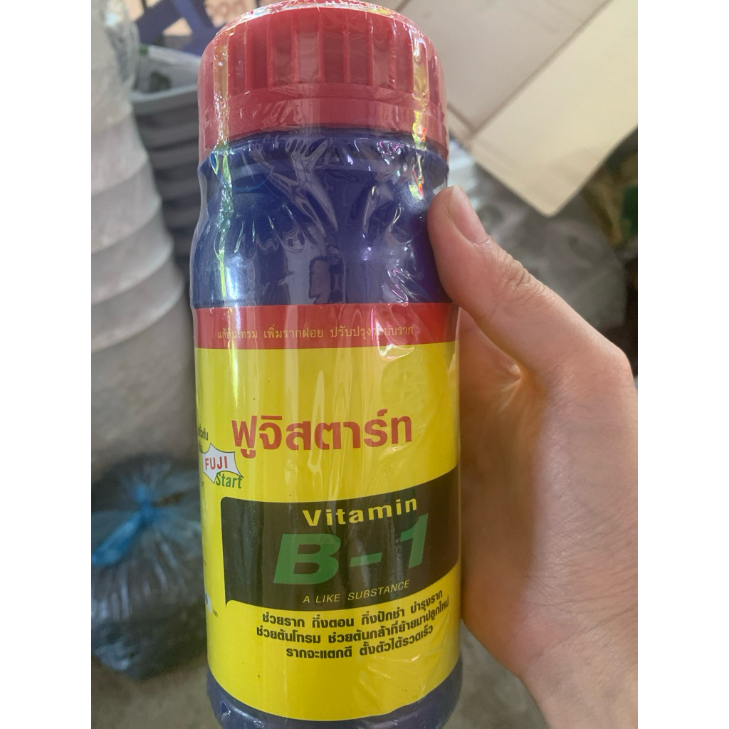 THUỐC KÍCH RỄ VITAMIN B1-THAILAND FUJI START 500ML - B1 THÁI 500ML