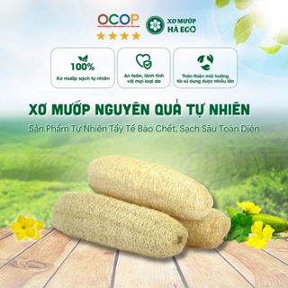  Xơ Mướp Nguyên Quả Thiên Nhiên HÀ ECO Làm Bông Tắm Tẩy Tế Bào Chết Sạch Sâu Toàn Diện 