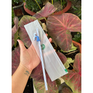 Q.K.A| Túi đựng ly, ống hút, túi xách hàng starbucks Auth