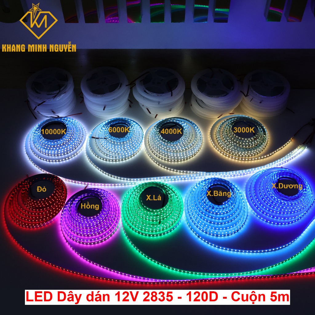 (Cuộn 5m) LED dây 12V 2835 SMD 120 LED/m - Trắng, Vàng, Trung tính, Đỏ, Lá, Dương, Hồng, Băng