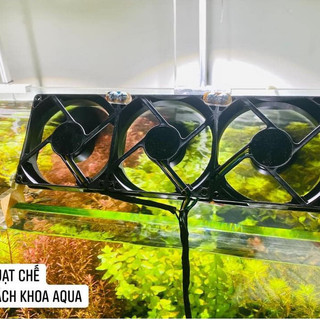 Quạt chế 2 - 3 - 4 cánh làm mát hồ thủy sinh - Kèm chân mica gác thành bể