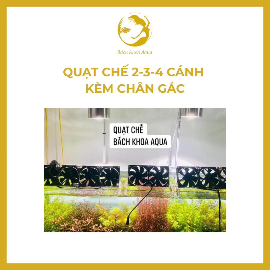 Quạt chế 2 - 3 - 4 cánh làm mát hồ thủy sinh - Kèm chân mica gác thành bể