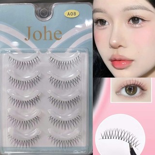 Mi gân trong Johe mi trên, mi dưới (5 cặp)