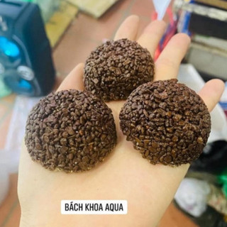Cầu nham thạch 6cm – Giá thể vi sinh hồ cá cảnh, lọc nước hiệu quả