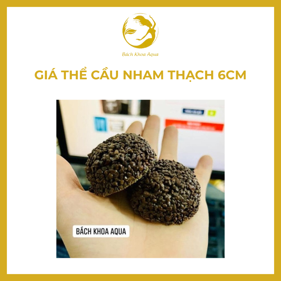 Cầu nham thạch 6cm – Giá thể vi sinh hồ cá cảnh, lọc nước hiệu quả