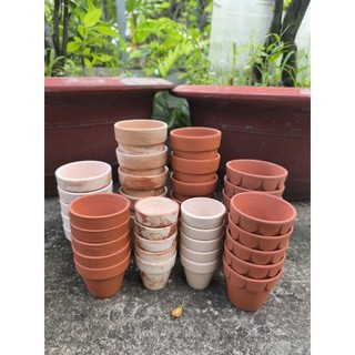  Chậu đất nung - Combo mix 40 chậu MINI  TRỒNG ĐƯỢC SEN VĨ SEN BẦU  