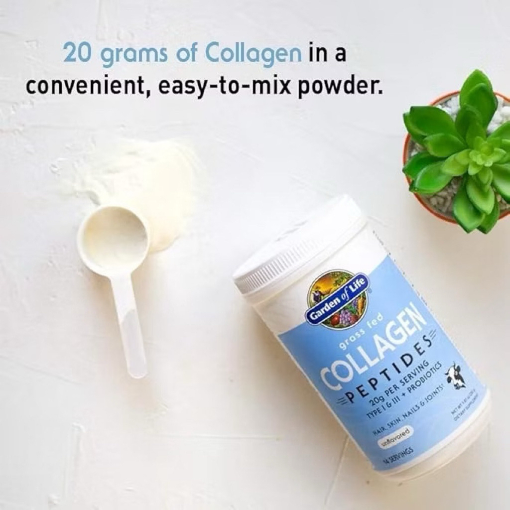 Bột Collagen Garden Of Life Collagen Peptides + Probiotics-280g