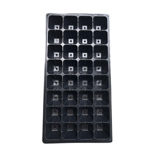 Vỉ ươm hạt giống 6x6cm 32 lỗ - Nông Nghiệp Phố