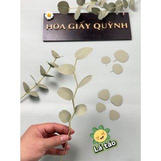 Sét lá giấy cắt sẵn làm lá bạc, lá táo - lá giấy mỹ thuật handmade (chưa có kẽm và cành)