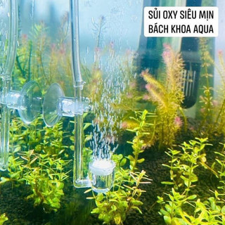Đĩa sủi ngắn Acrylic mịn 2cm-4cm-6cm – Tạo oxy cho bể cá thủy sinh