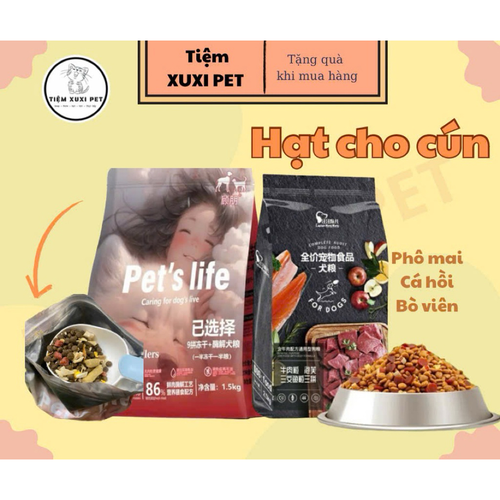 500gr Hạt Captain - Petlife - Jialun dành cho chó kén ăn full topping
