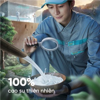 Nệm Cao Su Standard Vạn Thành, Mềm Mại Êm Ái, Nâng Đỡ Cột Sống Tối Ưu, Bảo Hành 12 Năm