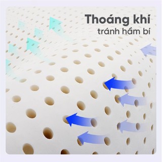 Nệm Cao Su Standard Vạn Thành, Mềm Mại Êm Ái, Nâng Đỡ Cột Sống Tối Ưu, Bảo Hành 12 Năm