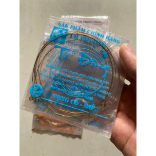 Dây đàn guitar điện cổ nhạc Cô Phượng ( Đàn điện cổ nhạc, đàn cò điện, guitar điện phím lõm)
