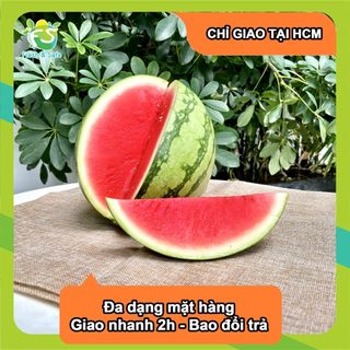 [Chỉ Giao HCM] Dưa hấu không hạt - Trái 3.5Kg