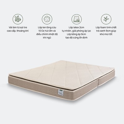 Đệm foam Artemis Nature Dream Support Everon cao cấp, nhiều kích thước