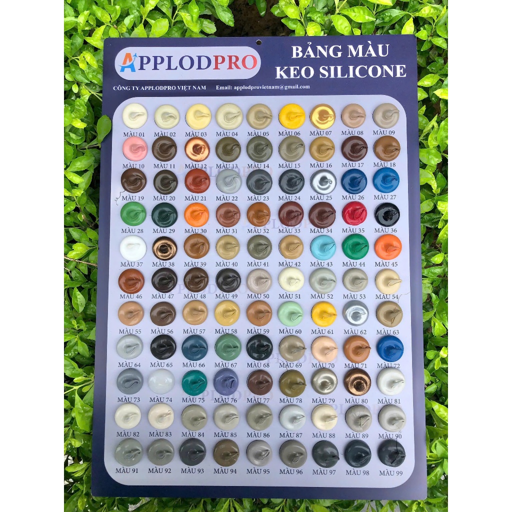 Bảng màu keo silicone - Bảng 99 màu cơ bản