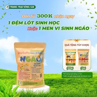 Men vi sinh hữu cơ BioSofix Ngáo xử lí rác thải, tạo thành phân bón dinh dưỡng cho đất và cây trồng.