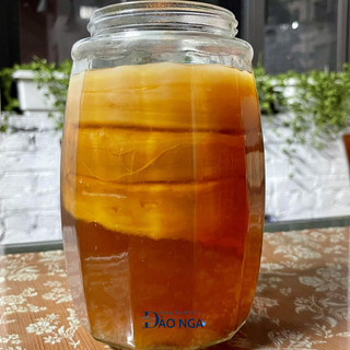 kombucha lên men tấm scoby men cái, nấm nước kefir dừa