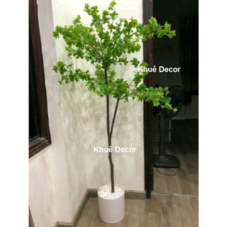 Cây Giả - Cây  Thạch Nam Giả 2 tán lá  - Cao 1m6