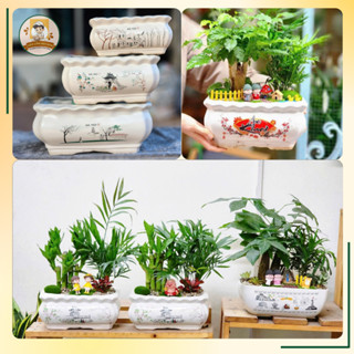  Chậu Gốm Sứ Trồng Cây Cảnh Ang Viền Họa Tiết Cổ Điển Màu Sắc Đa Dạng Trang Trí Để Bàn Sang Trọng 