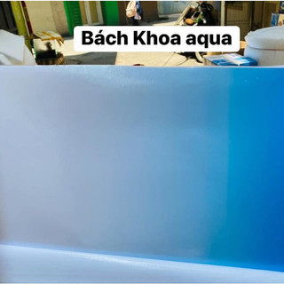 Decal 3D trang trí bể cá - Hình nền hồ cá cảnh sống động, đẹp mắt