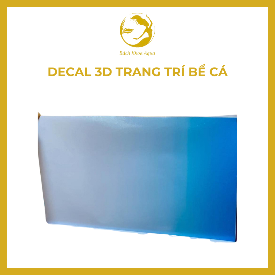 Decal 3D trang trí bể cá - Hình nền hồ cá cảnh sống động, đẹp mắt