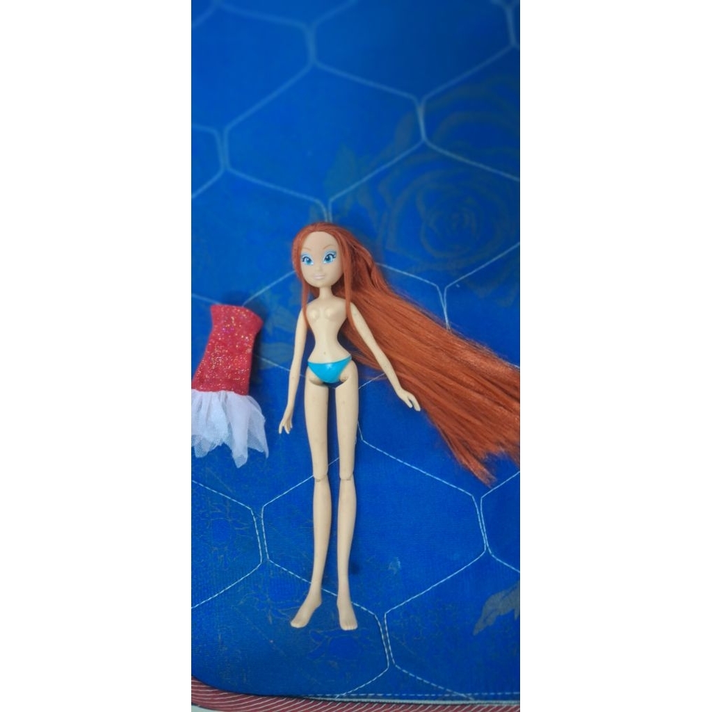 búp bê winx clud (bloom)