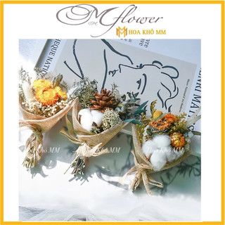  Bó Hoa Khô Mini Trang Trí – Decor Noel Quà Tặng Vintage 