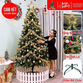  Cây Thông Noel Cao 2M4 Đầu Tròn Màu Xanh Cao Cấp Trang Trí Giáng Sinh Gia Đình Văn Phòng Khách Sạn 