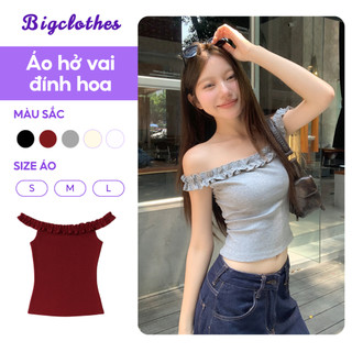 Áo Trễ Vai Dáng Ôm BigClothes, Áo Thun Nữ Trễ Hai Vai Thiết Kế Thời Trang Gợi Cảm A30