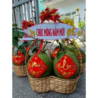 Giỏ trái cây đan lục bình đựng bưởi