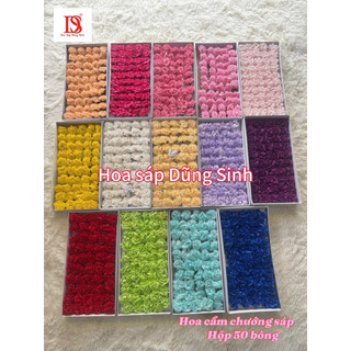[ H326 ] ( Hộp 50 bông ) Hoa cẩm chướng sáp, hộp hoa cẩm chướng sáp thơm cao cấp, hoa phăng sáp