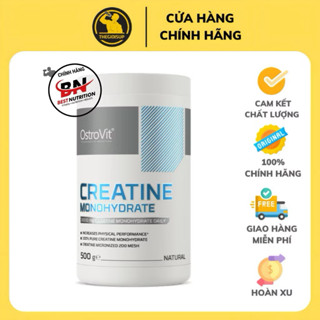 [HỦ / TÚI TÙY ĐỢT] OstroVit Creatine Monohydrate (300g / 500g / 1000g) – Tăng Sức Mạnh, Phục Hồi Tối Ưu, Hàng Chuẩn