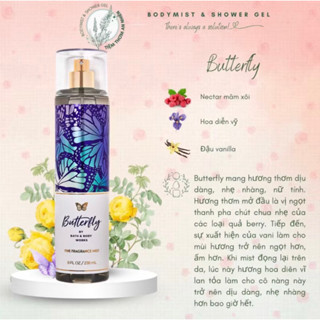 Xịt thơm toàn thân Bath And Body Works 236ML Butterfly