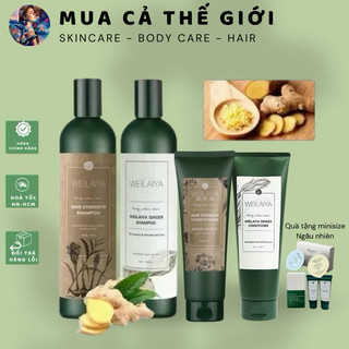  Dầu Gội Weilaiya Chiết Xuất Thảo Dược Gừng Trắng Hà Thủ Ô Trắng Hỗ Trợ Mọc Tóc Nuôi Dưỡng Tóc Shampoo 