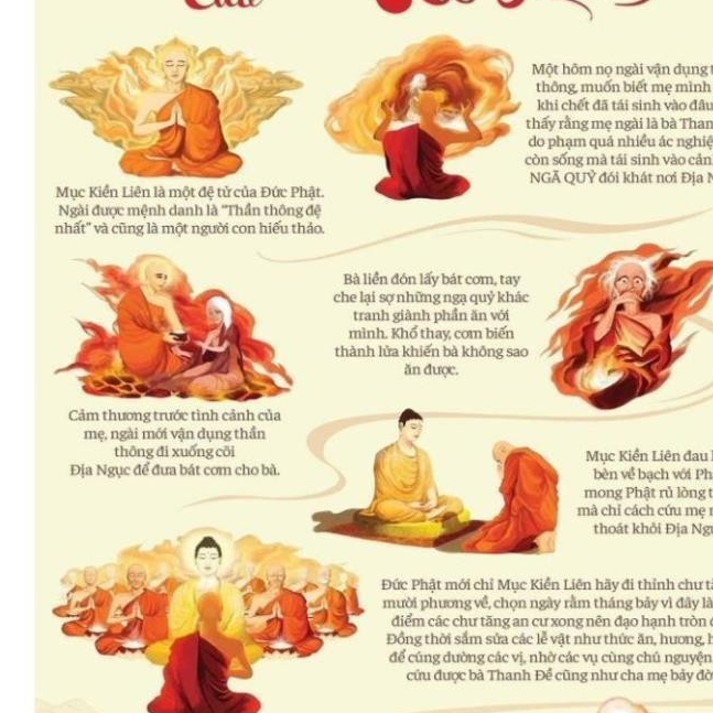 TO23 - Ý NGHĨA VU LAN KHỔ CỨNG a4 a3 ép Plastics bảo vệ