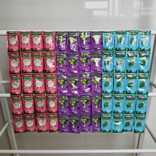  5 Dây Dầu Gội Xả Palmolive 10 gói  dây 