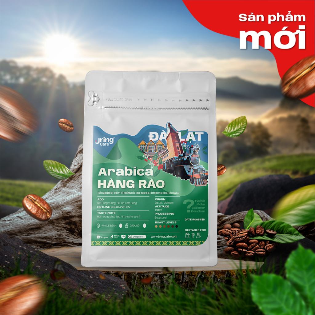 Cà phê Arabica giống cổ Đà Lạt - Cà phê arabica đặc sản