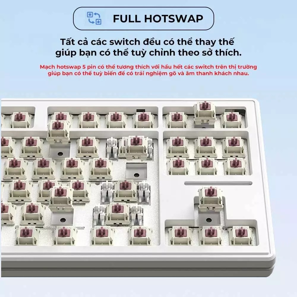 ⚡[NEW Cực Hot] Bàn Phím Cơ Xinmeng M87 Lite – USB-C /Mode Bluetooth + 2.4G – Gasket, PBT, Full Foam | BigBuy360 - bigbuy360.vn
