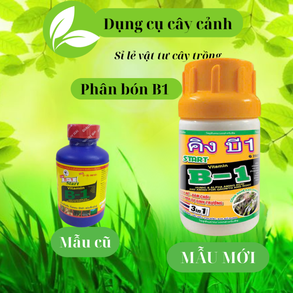 ( KÍCH DỄ, VÀ SINH TRƯỞNG) Phân Bón Lá Vitamin B1, Chuyên Dùng Cho Hoa Lan, Hoa Hồng, Kích Hoa Hàng 